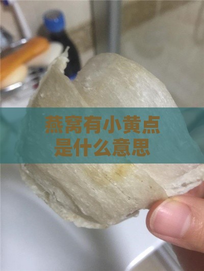 燕窝有小黄点是什么意思