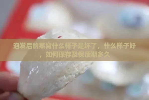 泡发后的燕窝什么样子是坏了，什么样子好，如何保存及保质期多久