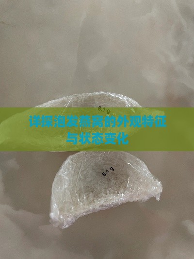 详探泡发燕窝的外观特征与状态变化