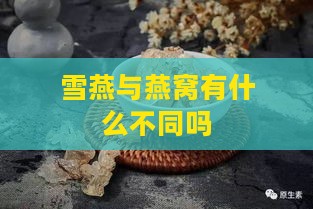 雪燕与燕窝有什么不同吗