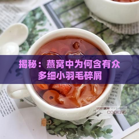 揭秘：燕窝中为何含有众多细小羽毛碎屑