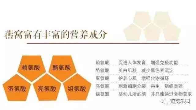 揭秘：全面替代燕窝的保养品及其等效滋养成分