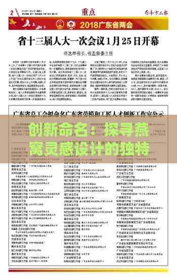 创新命名：探寻燕窝灵感设计的独特服装与款式