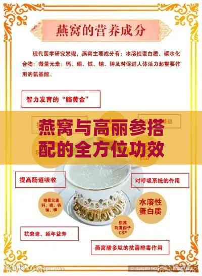 燕窝与高丽参搭配的全方位功效解析：养生保健与食疗妙用指南