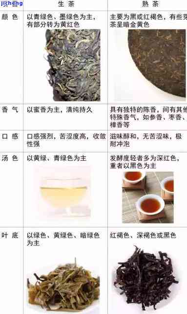 阿胶燕窝饮品全方位解析：探究其丰富功效与适用人群