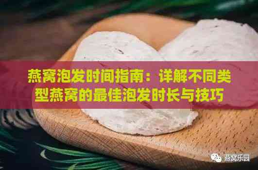 燕窝泡发时间指南：详解不同类型燕窝的更佳泡发时长与技巧