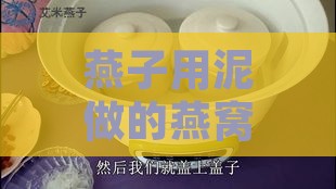 燕子用泥做的燕窝叫什么