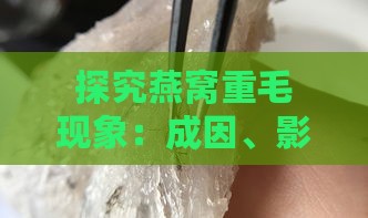 探究燕窝重毛现象：成因、影响及挑选与加工全解析