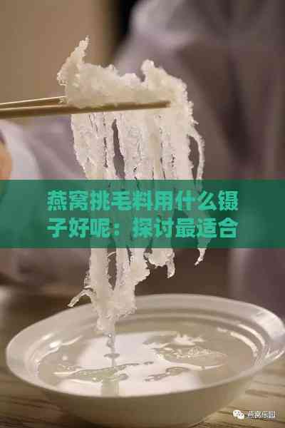 燕窝挑毛料用什么镊子好呢：探讨最适合燕窝挑毛的镊子选择。