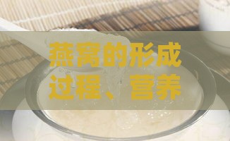 燕窝的形成过程、营养价值及如何挑选与食用：全方位解析燕窝知识