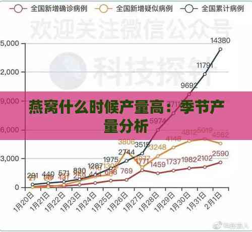 燕窝什么时候产量高：季节产量分析