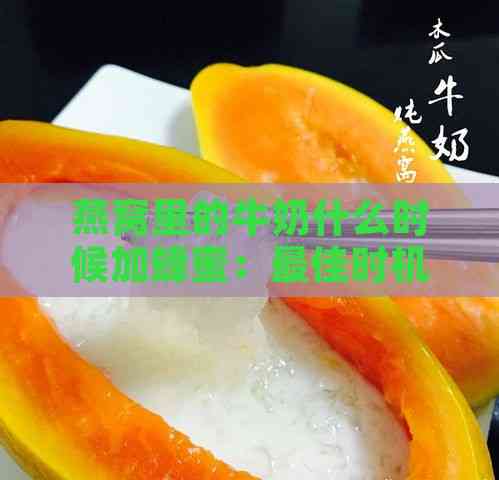 燕窝里的牛奶什么时候加蜂蜜：更佳时机与炖煮步骤