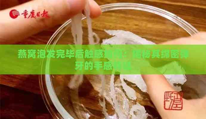 燕窝泡发完毕后触感如何：揭秘其绵密弹牙的手感特征