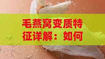 毛燕窝变质特征详解：如何识别变质毛燕窝的各种迹象与处理方法