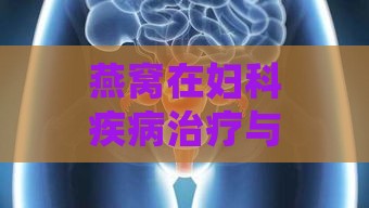 燕窝在妇科疾病治疗与保健中的综合益处及作用解析