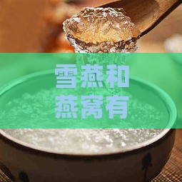 雪燕和燕窝有什么不同吗：哪个更好及营养价值比较