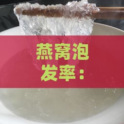 燕窝泡发率：探究高泡发率是否真的越佳选择