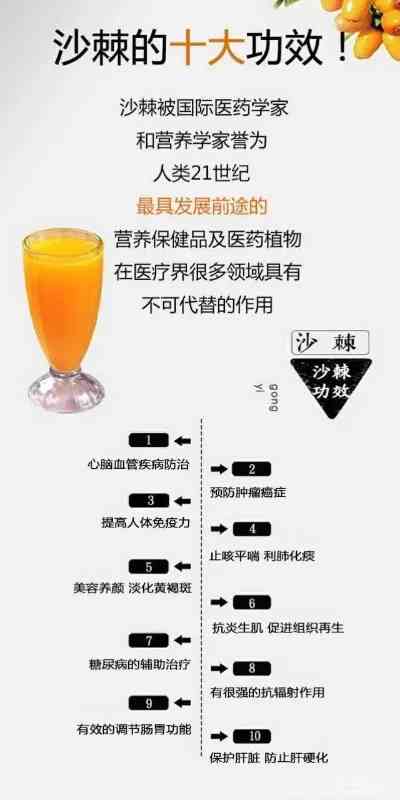 沙棘与燕窝的搭配食用指南：相克性、营养效果及注意事项解析