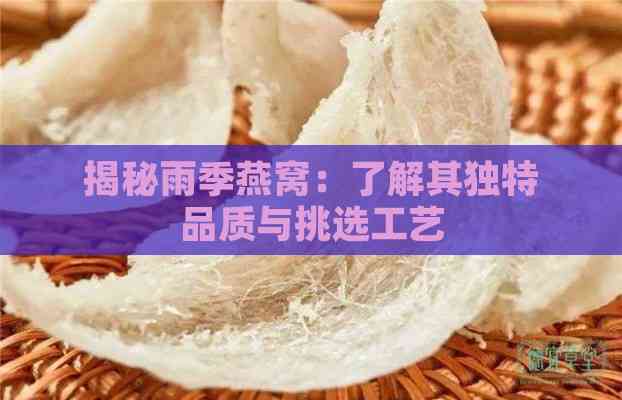 揭秘雨季燕窝：了解其独特品质与挑选工艺