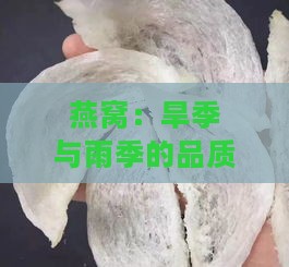 燕窝：旱季与雨季的品质对比与挑选指南