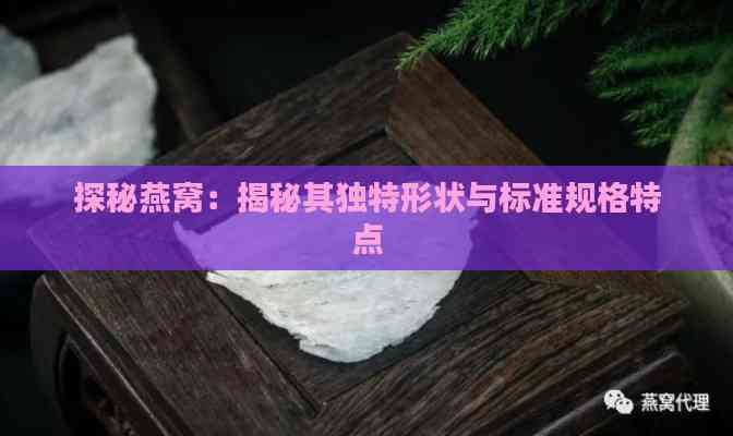 探秘燕窝：揭秘其独特形状与标准规格特点