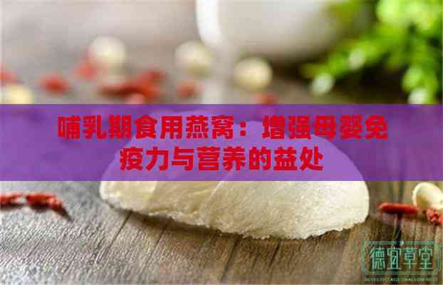 哺乳期食用燕窝：增强母婴免疫力与营养的益处