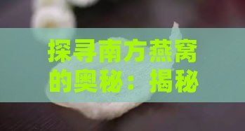 探寻南方燕窝的奥秘：揭秘燕窝的分布与采集