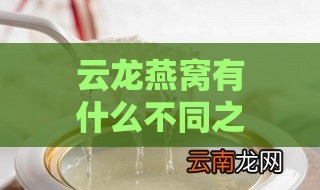 云龙燕窝有什么不同之处和功效及其作用特点