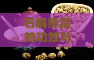 石斛燕窝的功效与作用：全面解析食用方法与营养益处