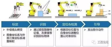 揭秘燕窝护肤成分：深入了解其功效与作用原理