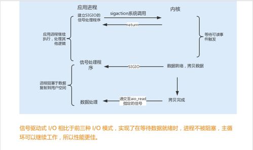 揭秘燕窝护肤成分：深入了解其功效与作用原理