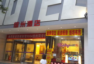 最新指南：临湘燕窝店地址及附近热门燕窝店铺一览