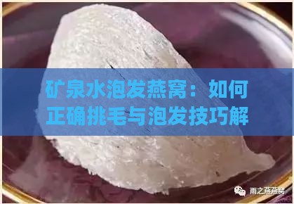 矿泉水泡发燕窝：如何正确挑毛与泡发技巧解析