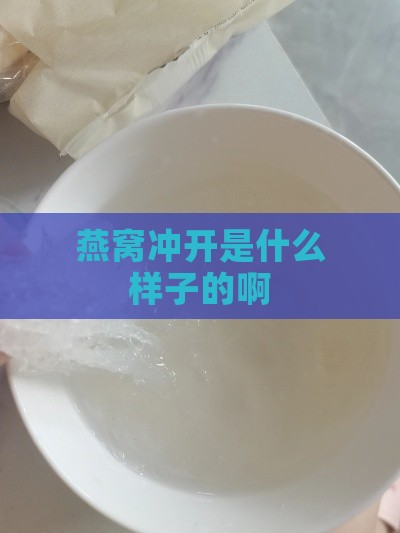 燕窝冲开是什么样子的啊