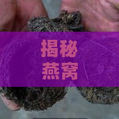 揭秘燕窝中黄色液体的来源、原因及其对品质的影响