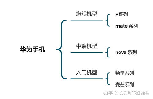 全方位指南：哪里购买燕窝及其选购技巧解析