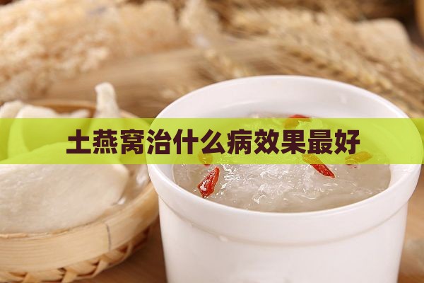 土燕窝治什么病效果更好