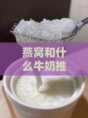 燕窝和什么牛奶推荐一下吃：搭配牛奶使燕窝口感更佳与营养升级