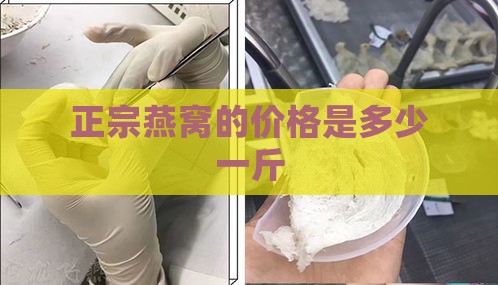 正宗燕窝的价格是多少一斤