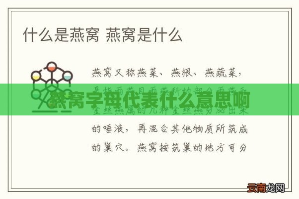 燕窝字母代表什么意思啊