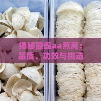 揭秘原盏aa燕窝：品质、功效与挑选指南