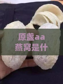 原盏aa燕窝是什么意思