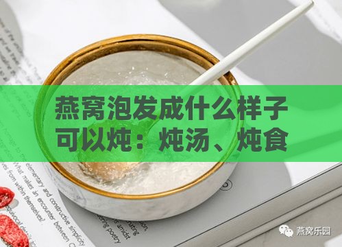 燕窝泡发成什么样子可以炖：炖汤、炖食及炖煮标准指南