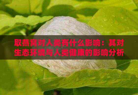 取燕窝对人类有什么影响：其对生态环境与人类健康的影响分析