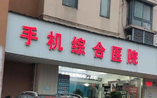 探寻最小燕窝店：独特命名盘点及精选好听店名推荐