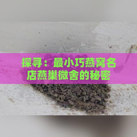 探寻：最小巧燕窝名店燕巢微舍的秘密