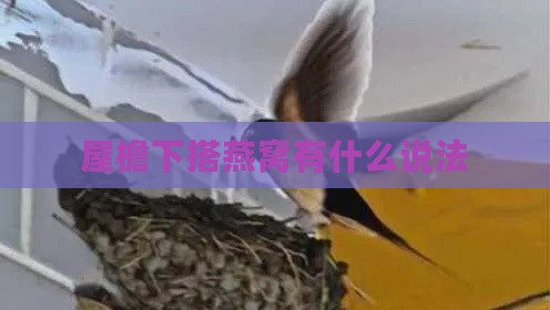 屋檐下搭燕窝有什么说法