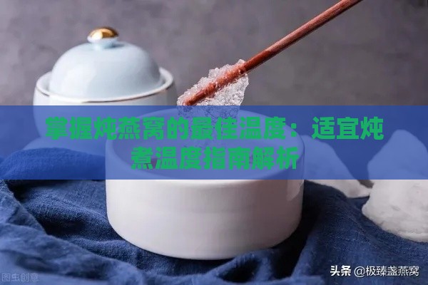 掌握炖燕窝的更佳温度：适宜炖煮温度指南解析