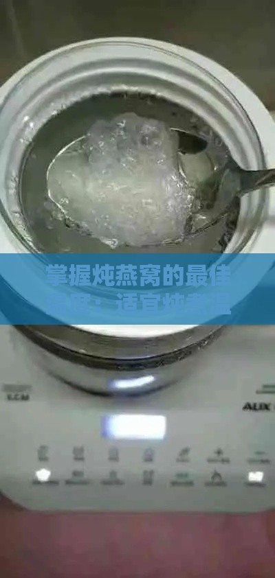 掌握炖燕窝的更佳温度：适宜炖煮温度指南解析