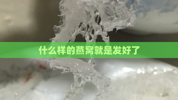 什么样的燕窝就是发好了